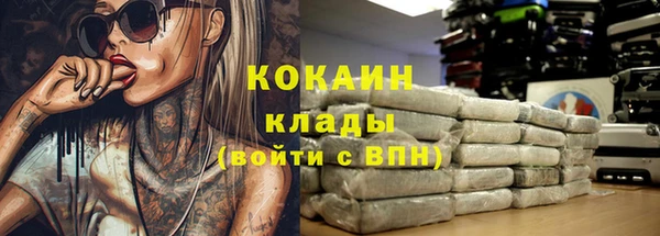 гашик Медвежьегорск
